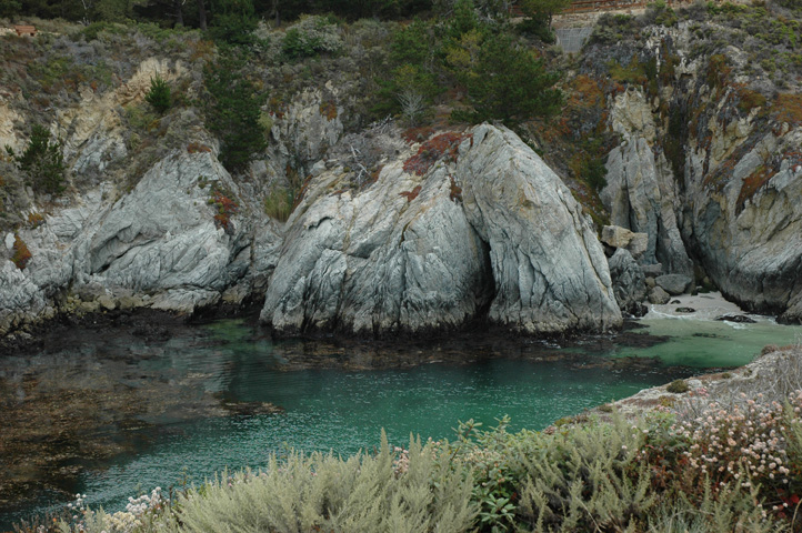 Point Lobos 056.jpg